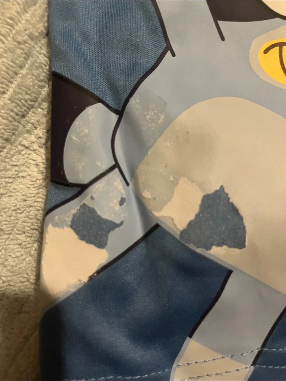 Bluey shirt shorts